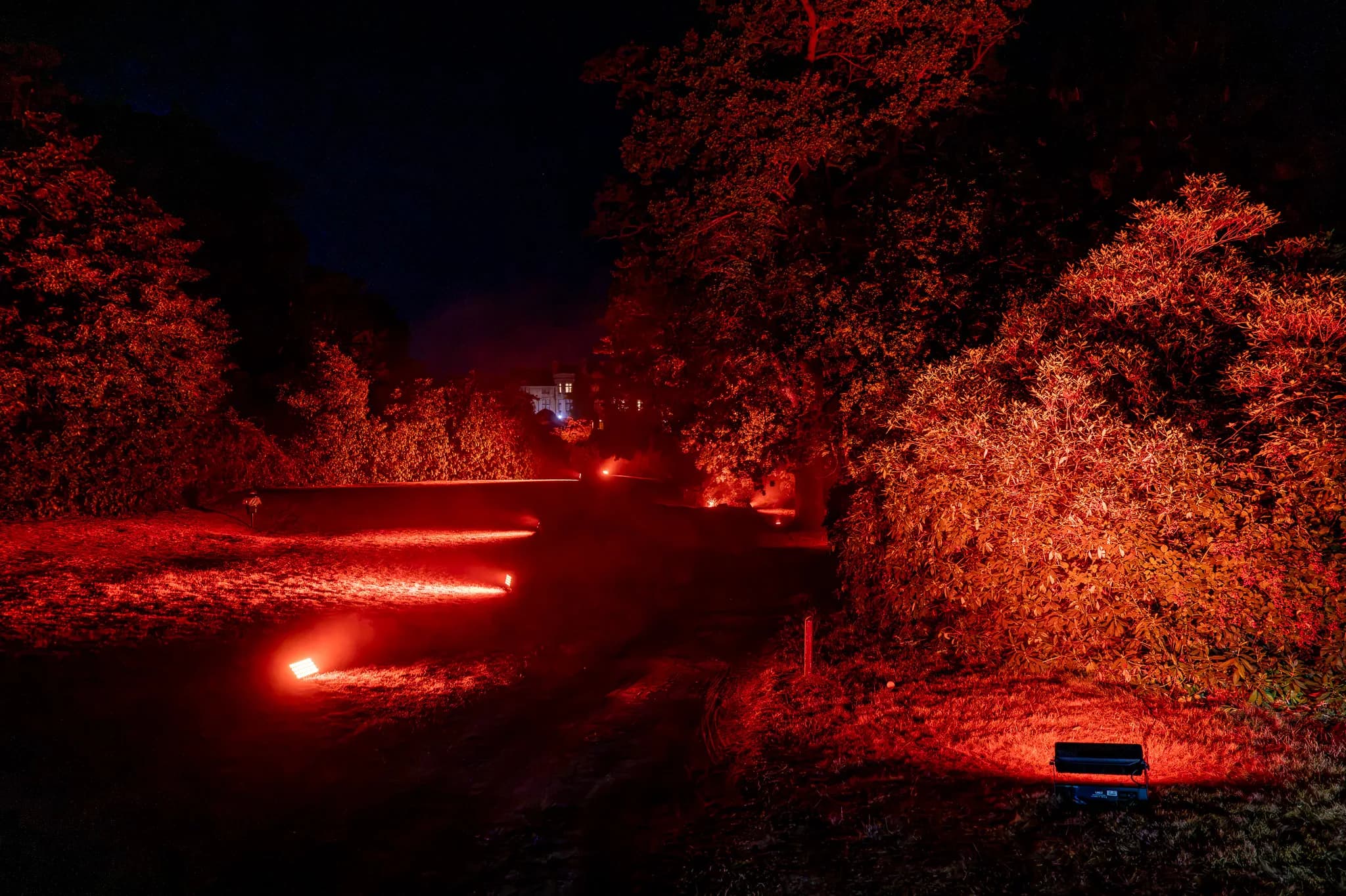 Red uplighters marking the garden route between trees | Pennyhill Park Red uplighters marking the garden route between trees at Pennyhill Park