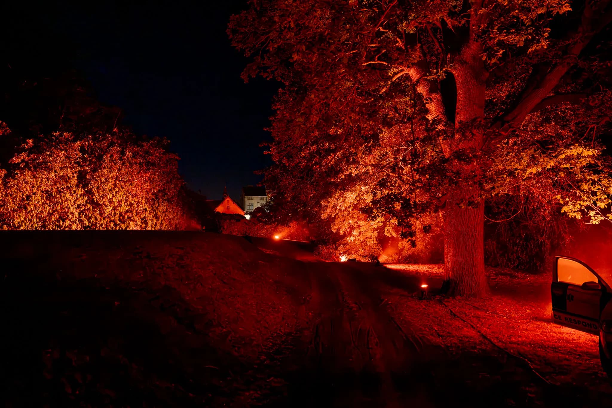 Illuminated tree canopy and pathway after dark | Pennyhill Park Illuminated tree canopy and pathway after dark at Pennyhill Park