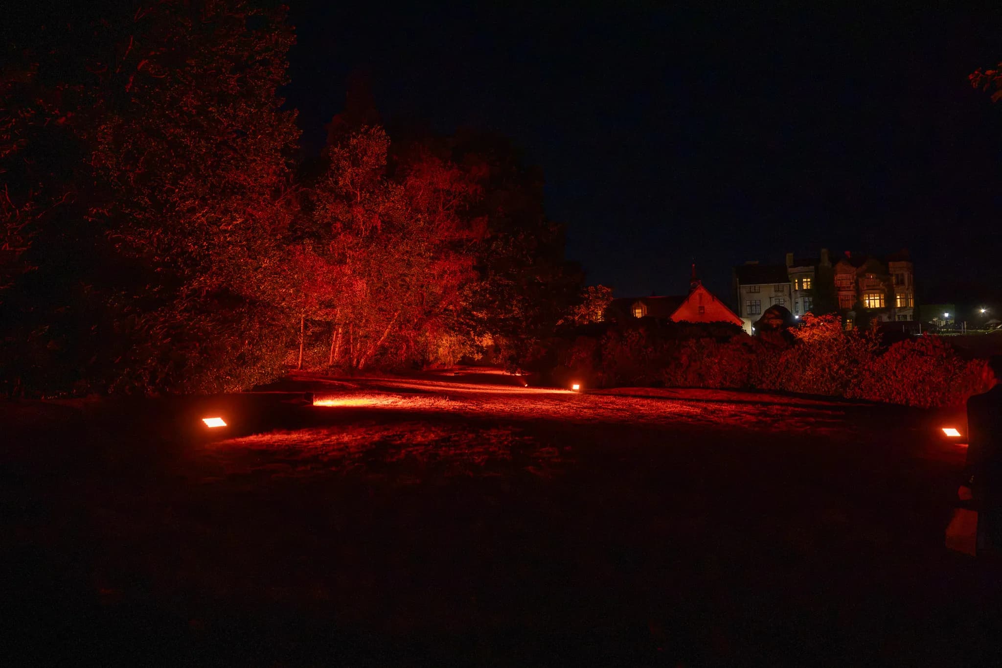 Pennyhill Park, We lit the trees so the walk was part of the night