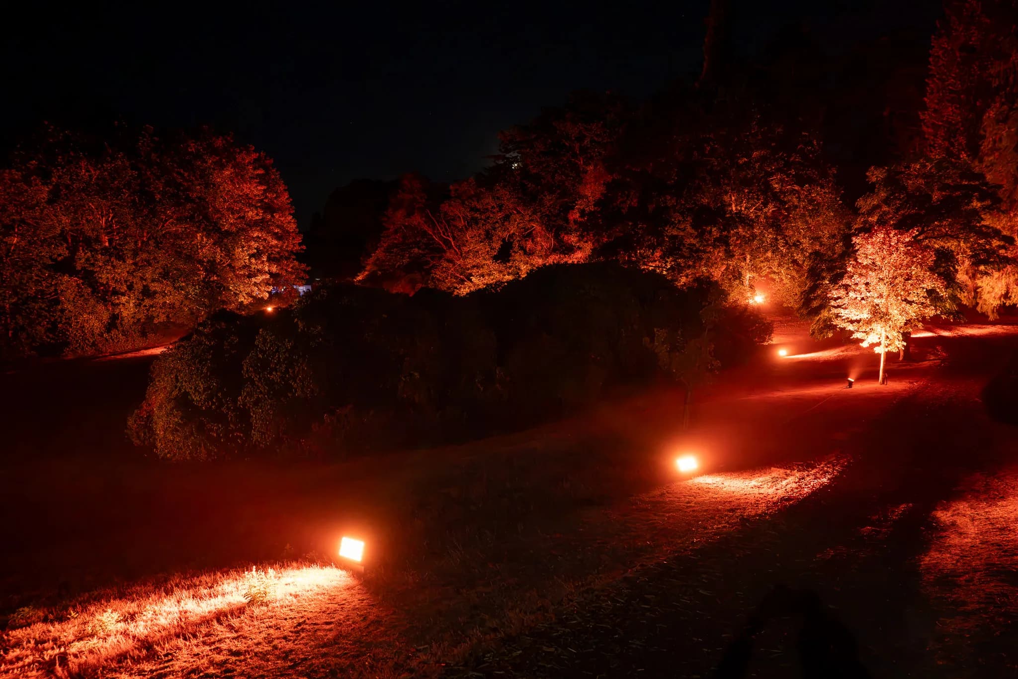 Ground-level accent lights along a garden path with warm uplighting in the trees above it, Pennyhill Park, Kudos Music