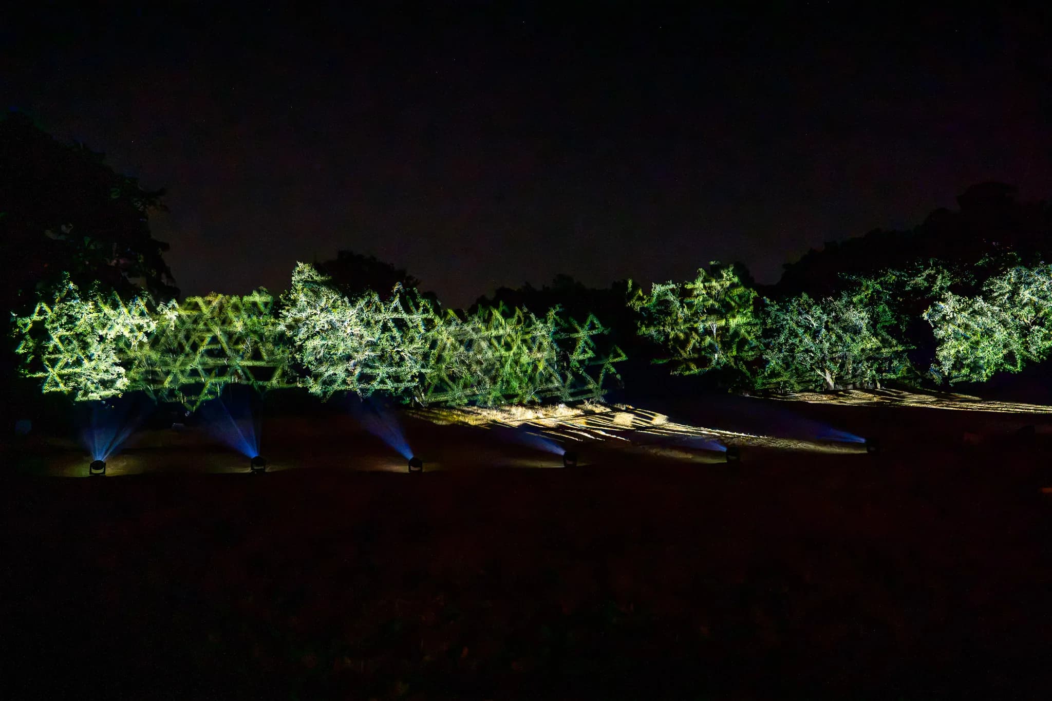 A hedgerow and trees lit green and blue against the night sky in the grounds at Pennyhill Park, Kudos Music