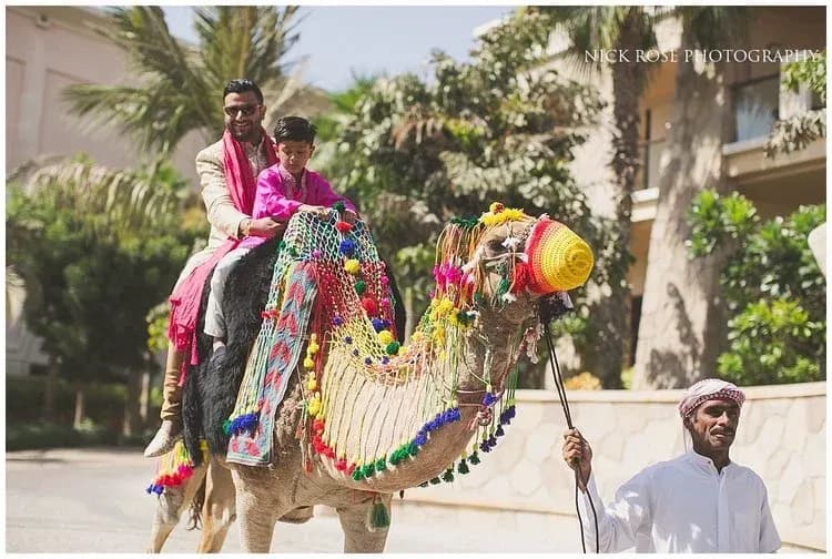 A groom arrives by camel for his baraat at a destination wedding in Dubai, Kudos Music